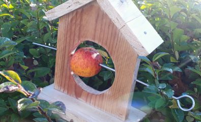 Fabriquer une mangeoire à oiseaux