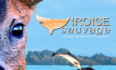 Projection du film de Franck Gicquiaud "Iroise sauvage" en présence du réalisateur